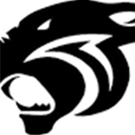 Bradford CUSD #1 image