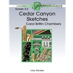 Cedar Canyon Sketches