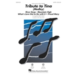 Tribute to Tina<br>(Medley)