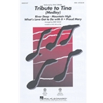 Tribute to Tina<br>(Medley)