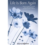 Life Is Born Again