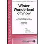 Winter Wonderland of Snow