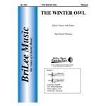 The Winter Owl