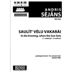 In the Evening, When the Sun Sets