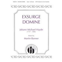 Exsurge Domine