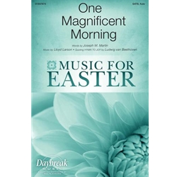 One Magnificent Morning