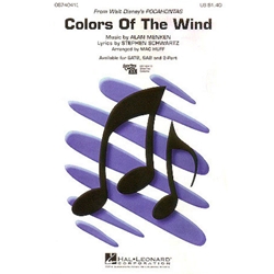Colors of the Wind<br>from <i>Pocahontas</i>