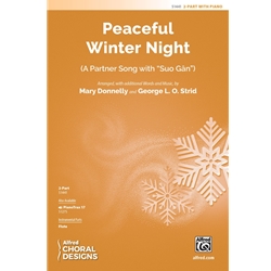Peaceful Winter Night