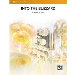 Into the Blizzard