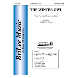 The Winter Owl