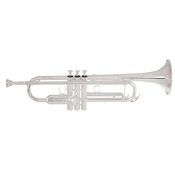 Trumpet
