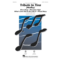 Tribute to Tina<br>(Medley)