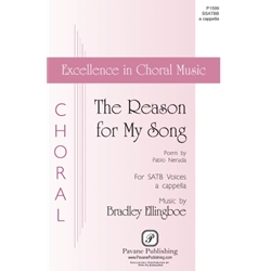 The Reason for My Song