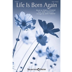 Life Is Born Again