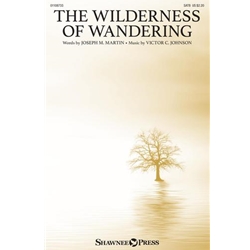 The Wilderness of Wandering