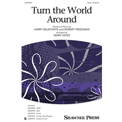 Turn the World Around