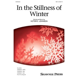 In the Stillness of Winter