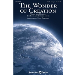 The Wonder of Creation
