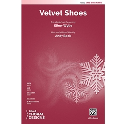 Velvet Shoes