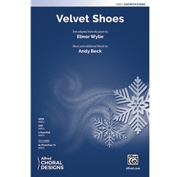 Velvet Shoes