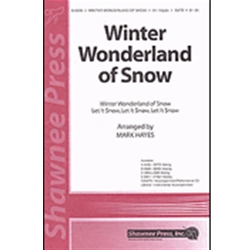Winter Wonderland of Snow
