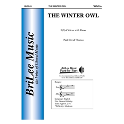 The Winter Owl