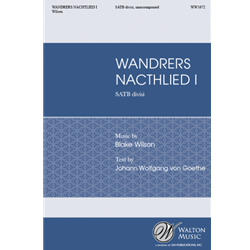 Wandrer's Nachtlied I